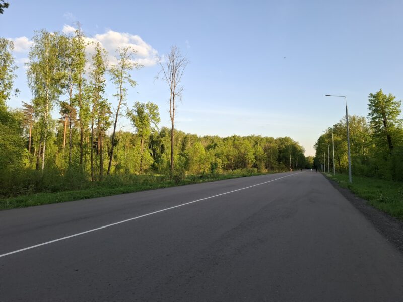Дорожки в парке Лосиный остров, состояние на 16 мая 2026 по отзыву, фото 8. 